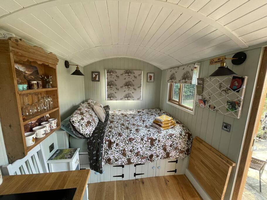 Forest View Shepherd Hut Ewhurst Luaran gambar