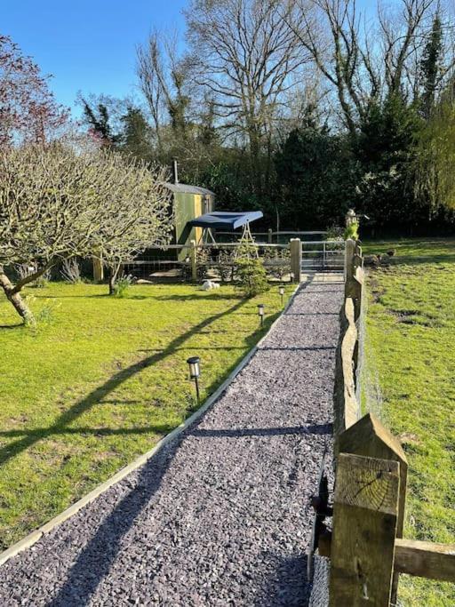 Forest View Shepherd Hut Ewhurst Luaran gambar