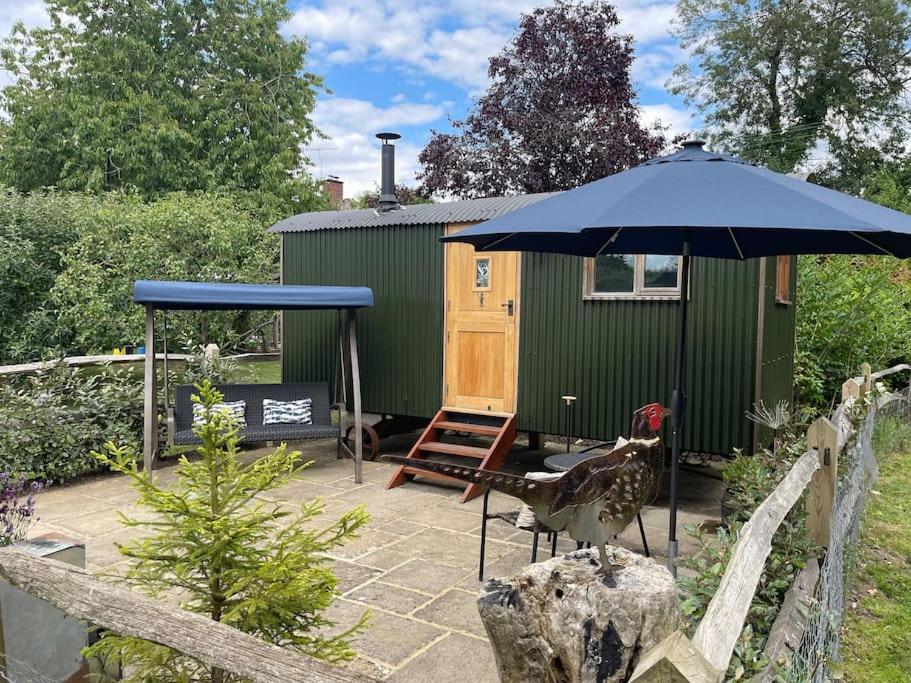 Forest View Shepherd Hut Ewhurst Luaran gambar