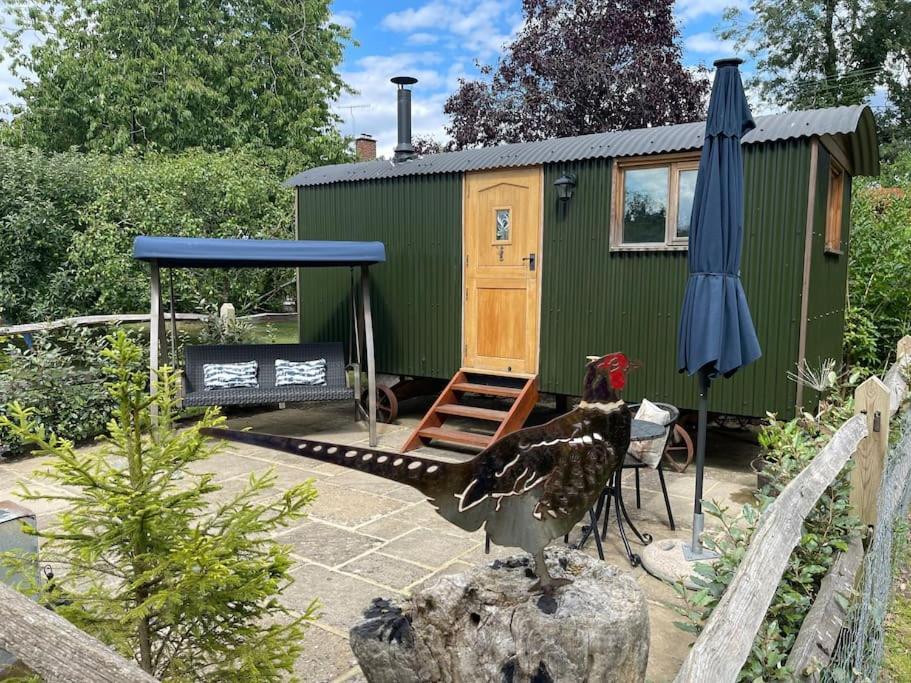 Forest View Shepherd Hut Ewhurst Luaran gambar