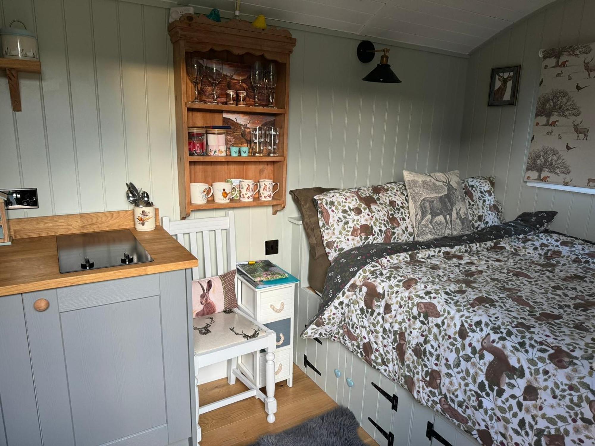 Forest View Shepherd Hut Ewhurst Luaran gambar
